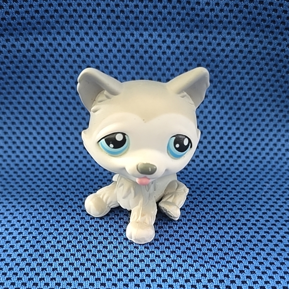 Littlest pet shop husky